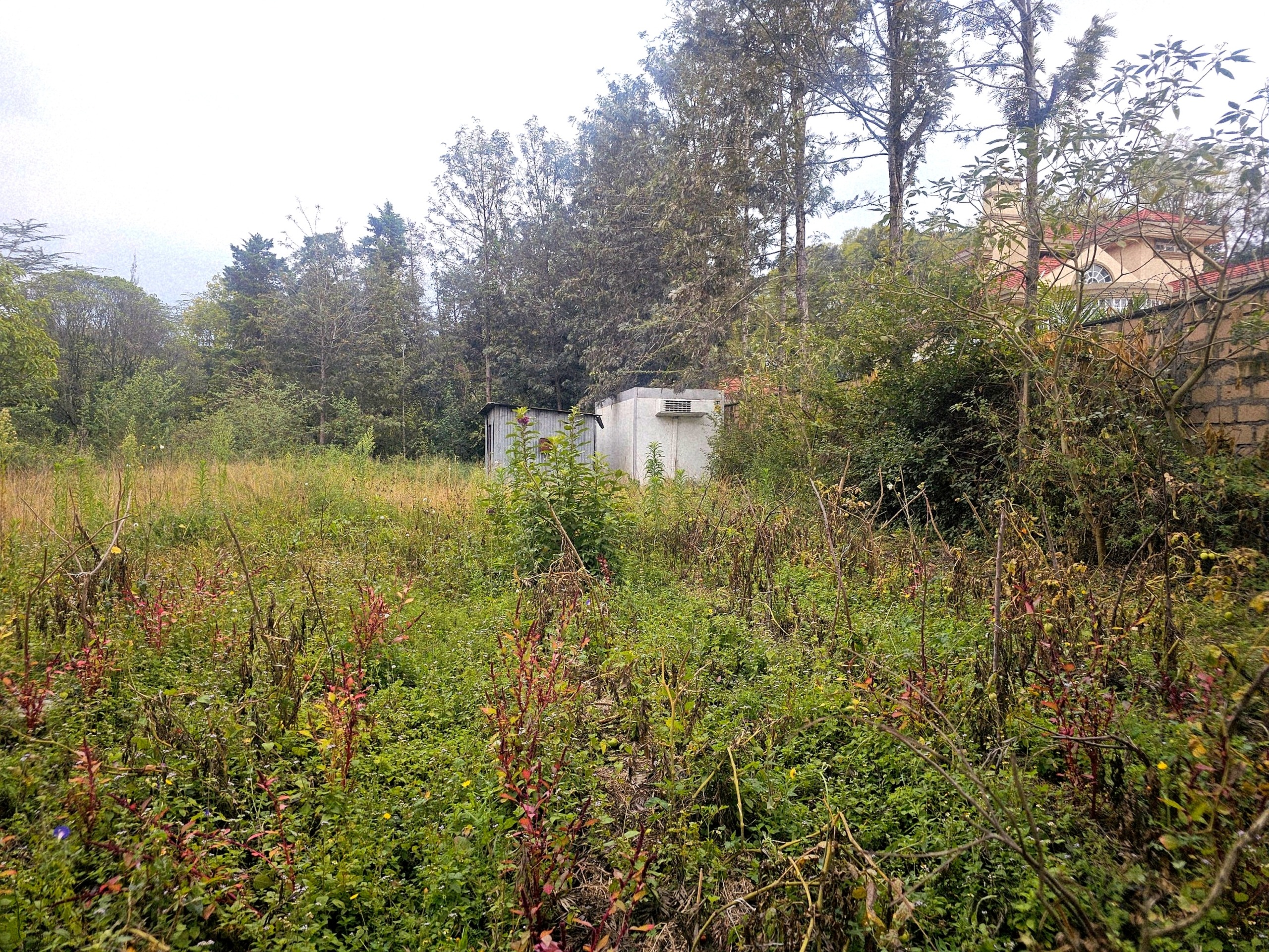 0.5 Acre Land in Karen.