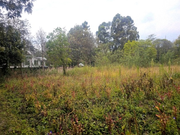 0.5 Acre Land in Karen.