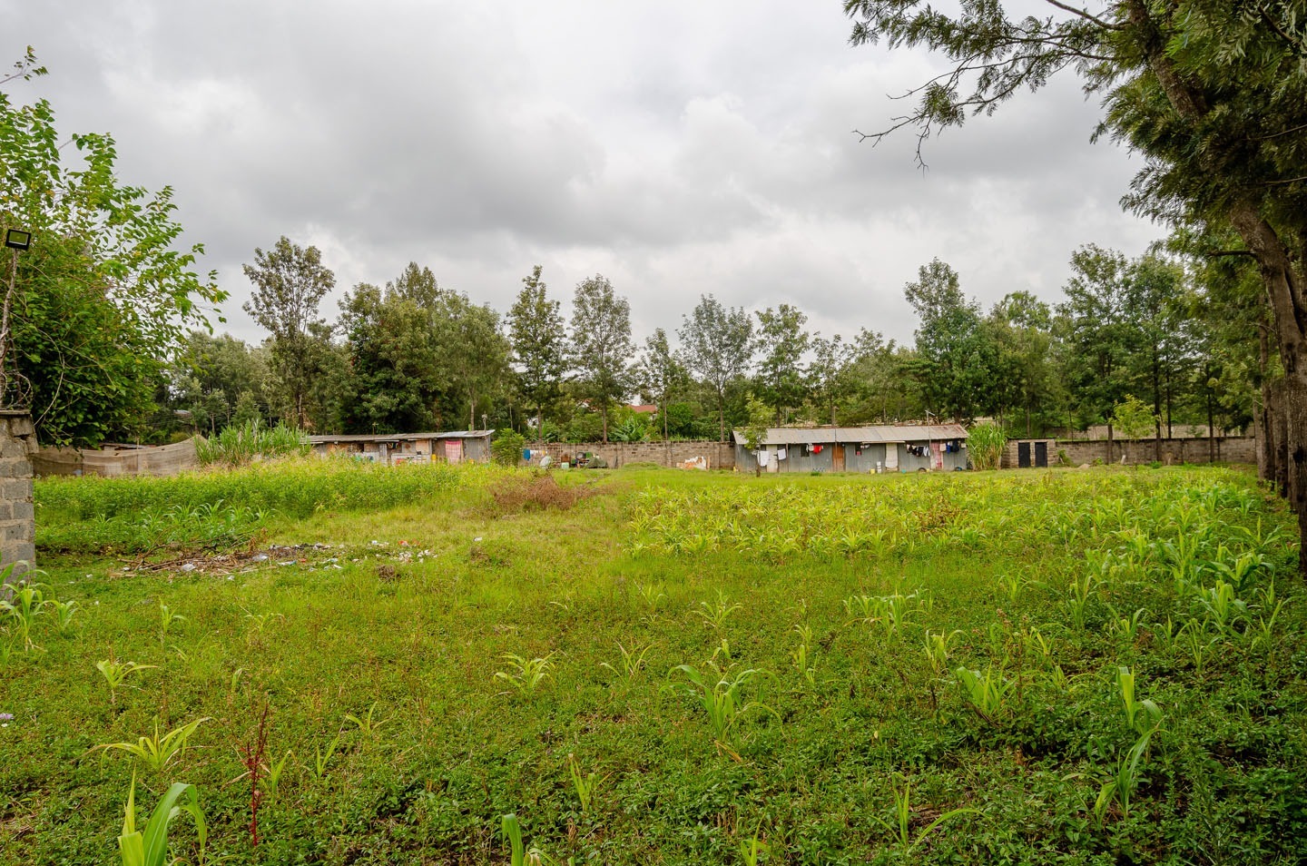 0.5 acre land for sale in Karen-1