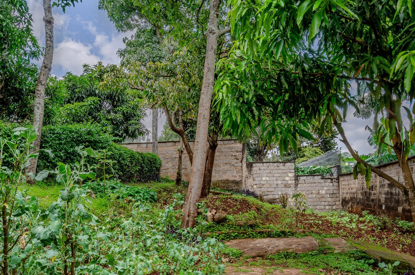 0.5 acre land in Kileleshwa-7