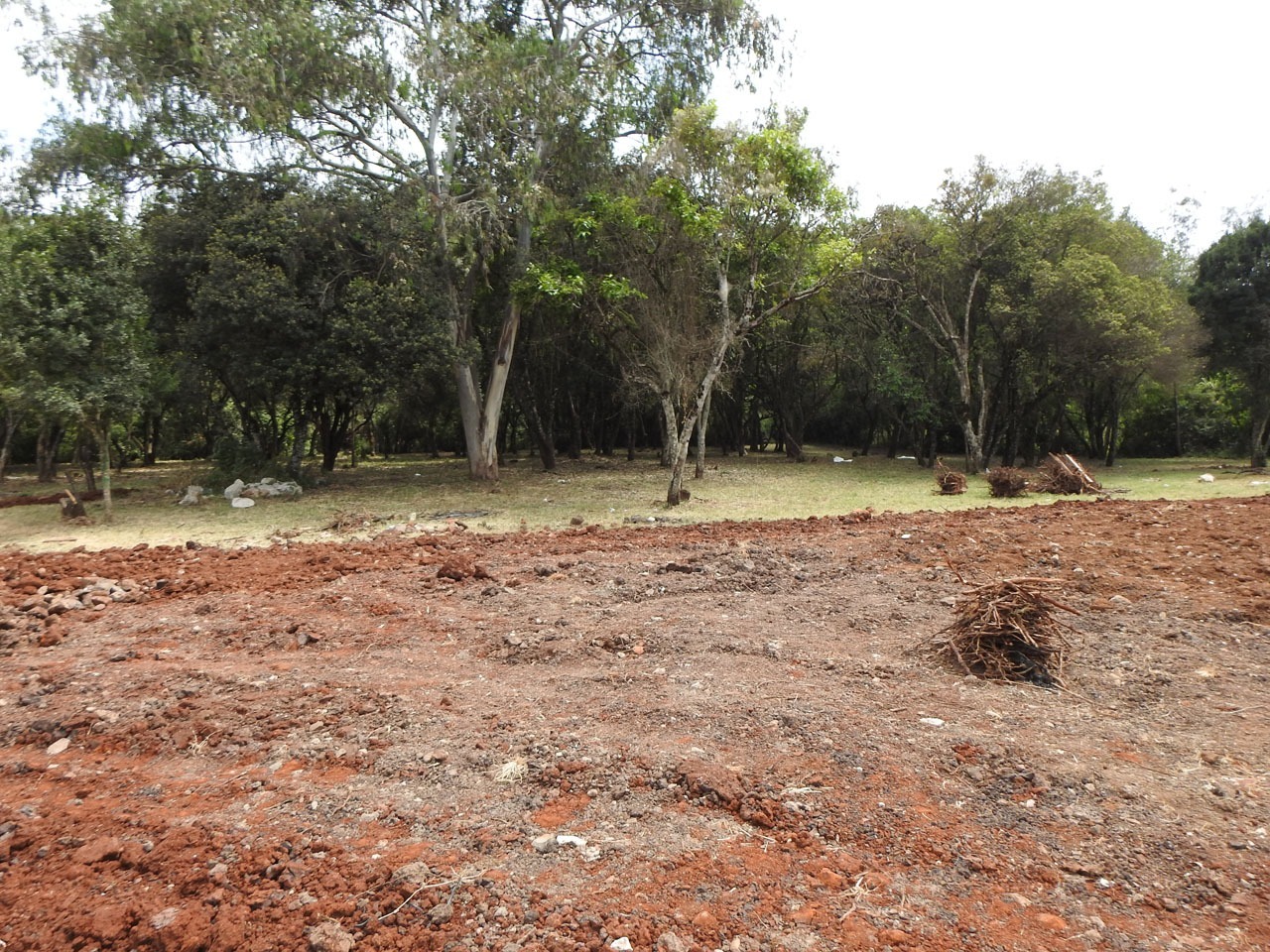 1 Acre Land For Sale in Karen Ngong View 3