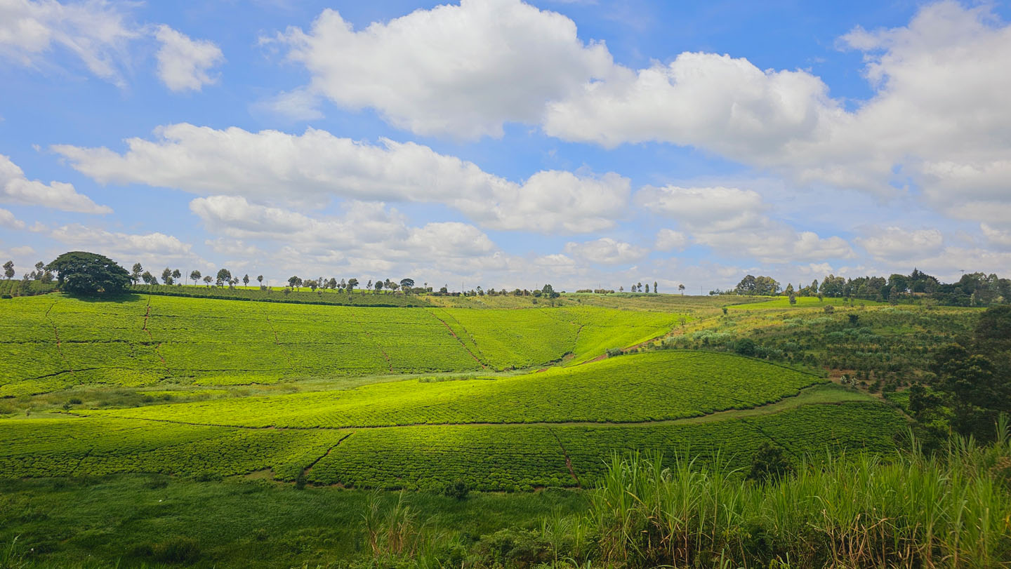 5.12 acre Land for Sale in Limuru 1