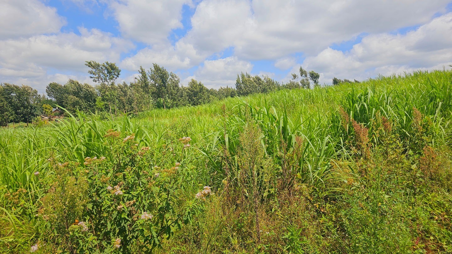 5.12 acre Land for Sale in Limuru 2