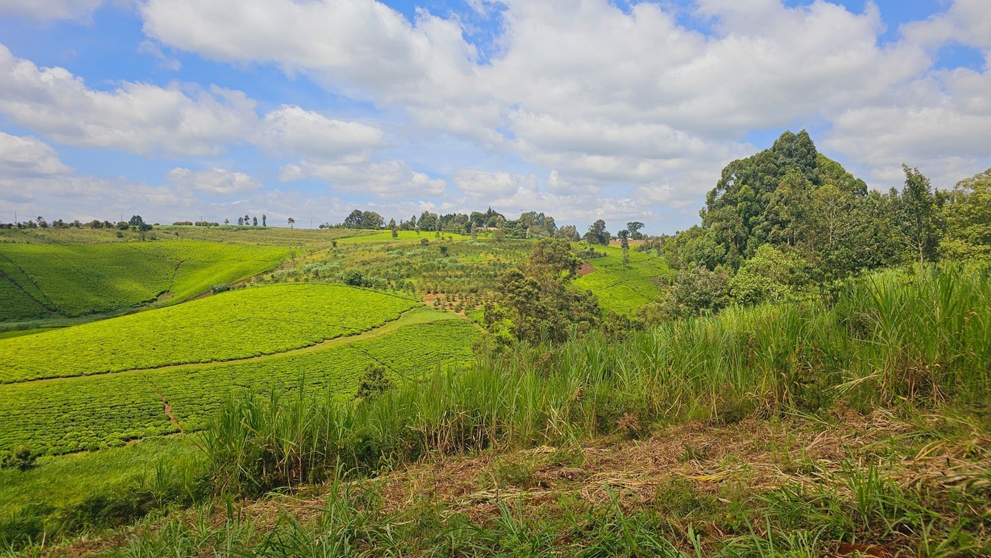 5.12 acre Land for Sale in Limuru 3