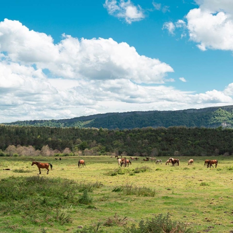 Inside Exclusive Listings: Why Private Sales Deliver the Best Results for High-Value Properties 