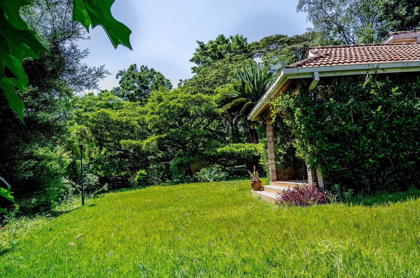 Land for sale in muthaiga 1