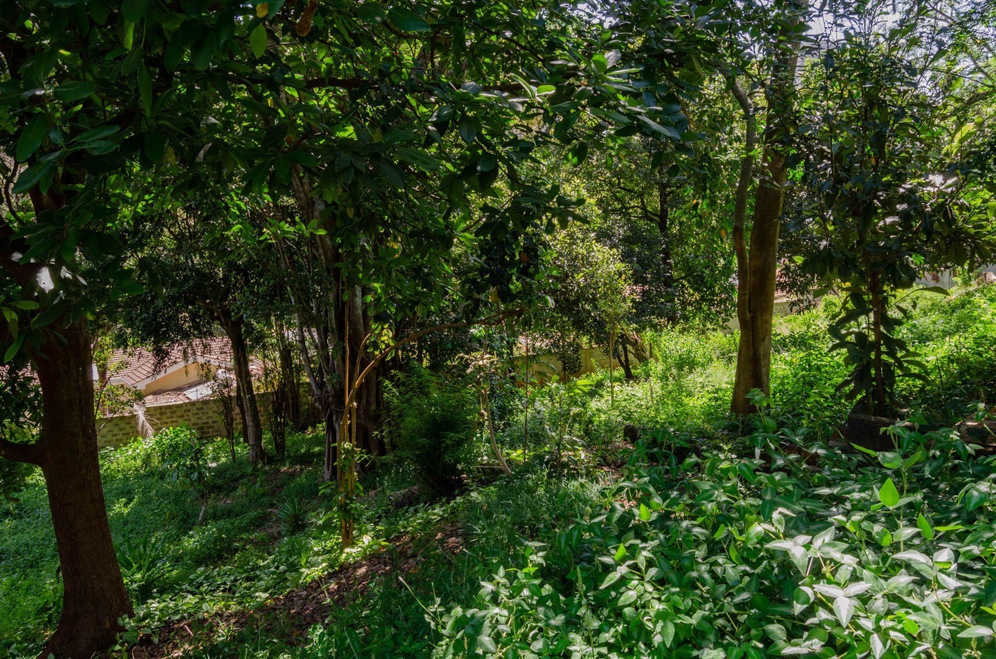 Land for sale in muthaiga 3